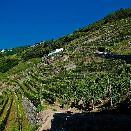 Ferienhaus Al Vigneto *